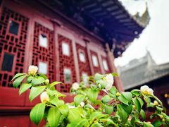 -豫园