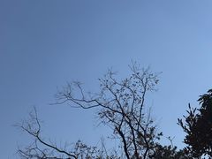 -青龙山国家森林公园