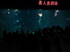 -福州罗源湾海洋世界旅游区