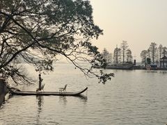 -东湖落雁景区