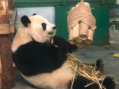-无锡动物园·太湖欢乐园