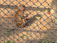 -长白岛森林公园