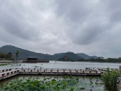 -顺峰山公园