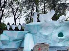-海合安成都极地海洋公园