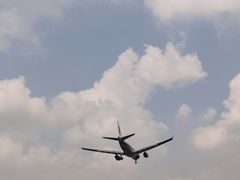 -空港花田景区