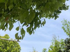 -南京眼步行桥