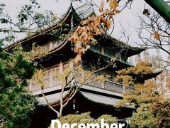-龙华寺