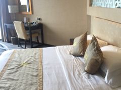 -黄山轩辕国际大酒店