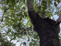 -草根堂农场