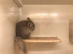 -龙猫仔乐园(惠福东路店)