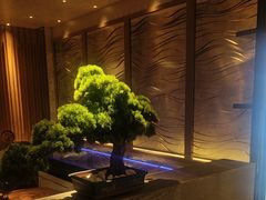 -浅深(北京北四环精品店)