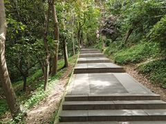 -上海佘山国家森林公园西佘山园