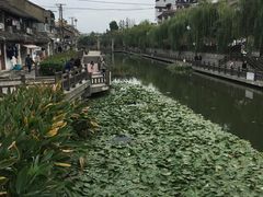 -七宝农家菜(七宝老街店)