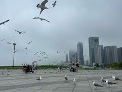 -东港音乐喷泉广场