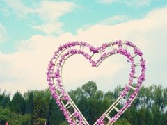 android_upload_pic-北京东方普罗旺斯薰衣草庄园