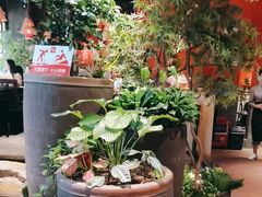 -老客家·客家菜(万达店)