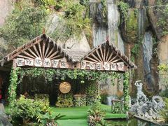 -西双版纳原始森林公园