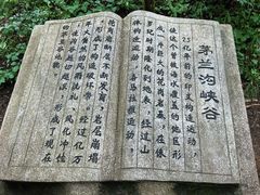 -茅兰沟国家森林公园