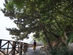 -青岛崂山太清宫