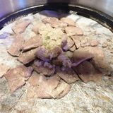 海口好吃的烤肉店推荐攻略