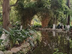 -成都市活水公园