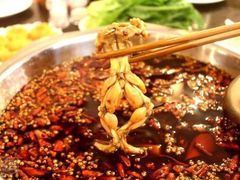 -同蛙阁美蛙鱼头火锅