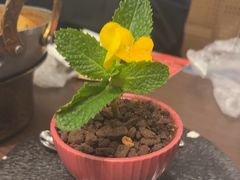 -Shantek象提南亚西餐厅&Bistro(淮海中路店)