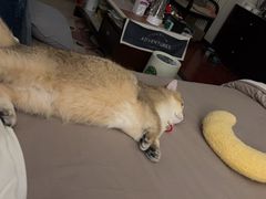 -美迦爱-牙专科·兔科·骨科诊疗中心(北苑店)