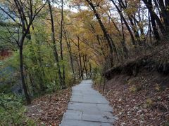 景点-吉林市朱雀山国家森林公园