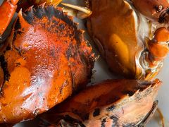 野生本地红膏蟹-凯华海鲜火锅·传承三十六年
