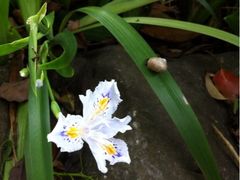 iphone_upload_pic-汇龙潭