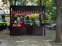 -北京乐多港万豪酒店汤乐宫温泉