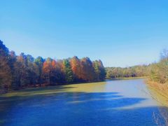 -上海海湾国家森林公园