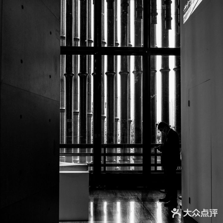 上海必看安藤忠雄国内首个个人建筑回顾展