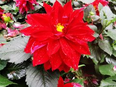 -苏州河梦清园环保主题公园