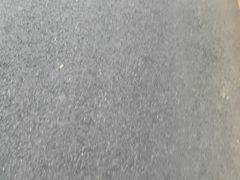 -听涛雅苑百味饺子老家菜馆