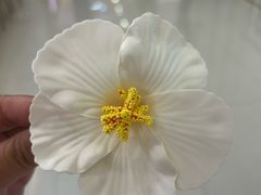 -船歌·鱼水饺青岛菜(太阳宫凯德MALL店)