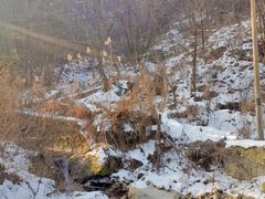 -秦岭终南山世界地质公园翠华山景区