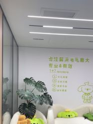 -凡碧诗毛孔清洁收细