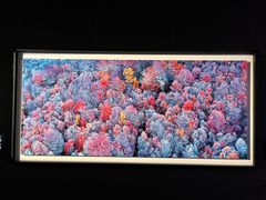 -罗红摄影艺术馆