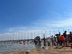 -碧海金沙