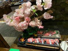 -樱宿日式和牛烧肉(五道口店)