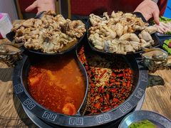 美蛙-销魂美蛙鱼头火锅(上海首店)