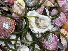 -船梆煮•蒸汽海鲜·炉火烤肉(五四广场店)