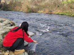 -两河城市森林公园