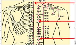 点击看大图 -悦瑢港湾科技美肤芳疗美容