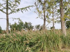 -汉长安城未央宫国家考古遗址公园