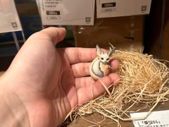 -茑屋书店(天目里店)