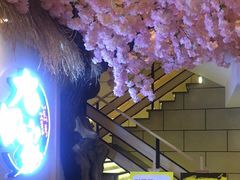 -金九姬黑牛烤肉料理(杨舍老街店)