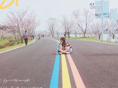 -羊山湖公园